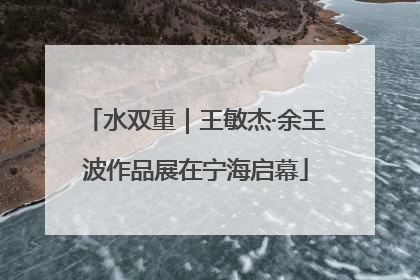 水双重｜王敏杰·余王波作品展在宁海启幕