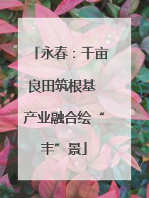 永春：千亩良田筑根基 产业融合绘“丰”景