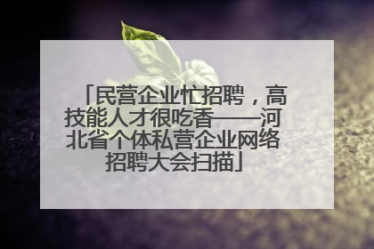 民营企业忙招聘，高技能人才很吃香——河北省个体私营企业网络招聘大会扫描
