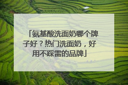 氨基酸洗面奶哪个牌子好？热门洗面奶，好用不踩雷的品牌