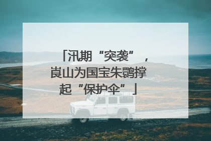 汛期“突袭”，崀山为国宝朱鹮撑起“保护伞”
