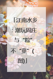 江南水乡：潮玩周庄 与“粽”不“童”(图)