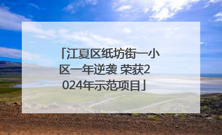 江夏区纸坊街一小区一年逆袭 荣获2024年示范项目