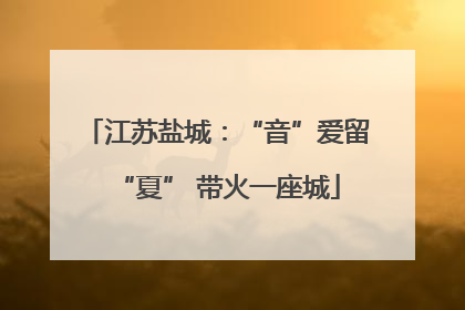 江苏盐城：“音”爱留“夏” 带火一座城