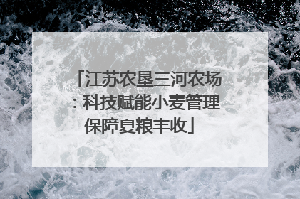 江苏农垦三河农场：科技赋能小麦管理保障夏粮丰收