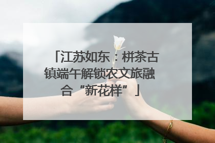 江苏如东：栟茶古镇端午解锁农文旅融合“新花样”