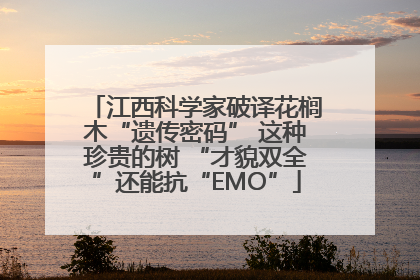 江西科学家破译花榈木“遗传密码” 这种珍贵的树 “才貌双全”还能抗“EMO”