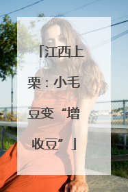 江西上栗：小毛豆变“增收豆”