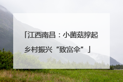 江西南昌：小菌菇撑起乡村振兴“致富伞”