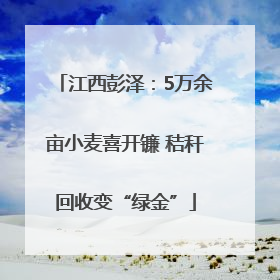 江西彭泽：5万余亩小麦喜开镰 秸秆回收变“绿金”