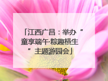 江西广昌：举办“童享端午·粽趣横生”主题游园会