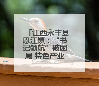 江西永丰县恩江镇：“书记领航”破困局 特色产业盘活集体经济新引擎