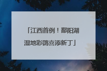 江西首例！鄱阳湖湿地彩鹮喜添新丁