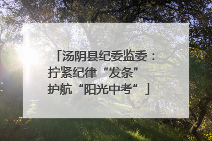 汤阴县纪委监委：拧紧纪律“发条” 护航“阳光中考”