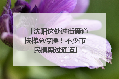 沈阳这处过街通道扶梯总停摆！不少市民摸黑过通道