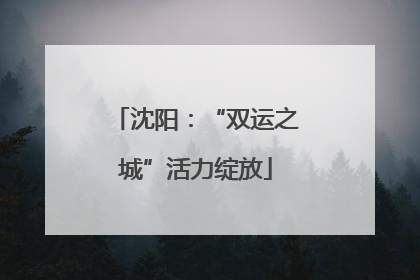 沈阳：“双运之城”活力绽放