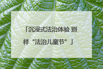 沉浸式法治体验 别样“法治儿童节”