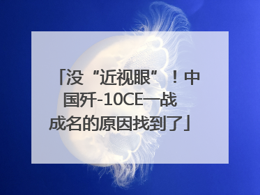 没“近视眼”!中国歼-10CE一战成名的原因找到了