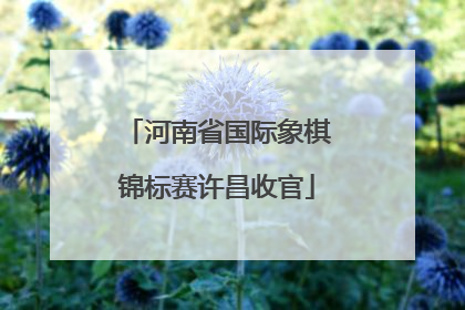 河南省国际象棋锦标赛许昌收官