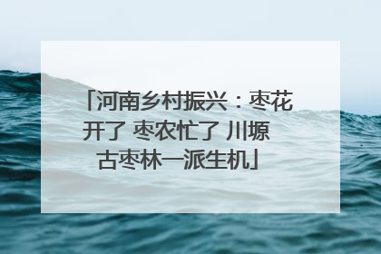 河南乡村振兴：枣花开了 枣农忙了 川塬古枣林一派生机