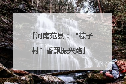 河南范县：“粽子村”香飘振兴路