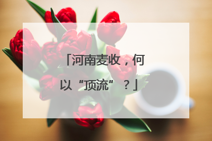 河南麦收，何以“顶流”？