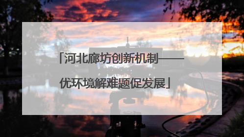 河北廊坊创新机制——优环境解难题促发展