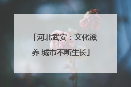 河北武安：文化滋养 城市不断生长