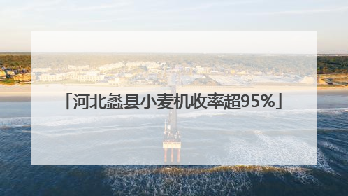 河北蠡县小麦机收率超95%
