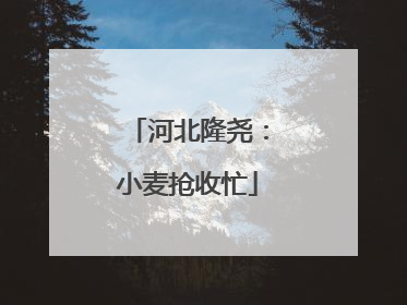 河北隆尧：小麦抢收忙