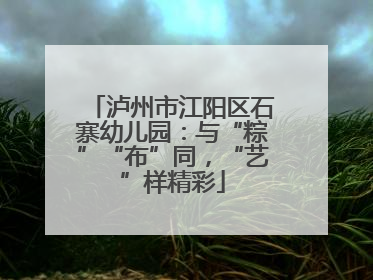 泸州市江阳区石寨幼儿园：与“粽”“布”同，“艺”样精彩