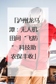 泸州龙马潭：无人机田间“飞防” 科技助农保丰收