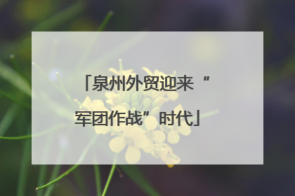 泉州外贸迎来“军团作战”时代