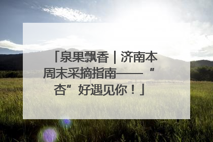 泉果飘香｜济南本周末采摘指南——“杏”好遇见你！