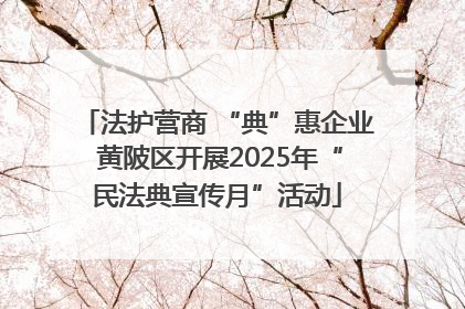 法护营商 “典”惠企业 黄陂区开展2025年“民法典宣传月”活动