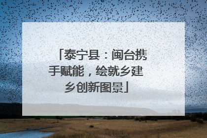 泰宁县：闽台携手赋能，绘就乡建乡创新图景