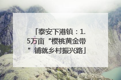 泰安下港镇：1.5万亩“樱桃黄金带”铺就乡村振兴路