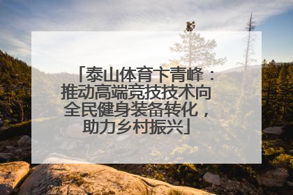 泰山体育卞青峰：推动高端竞技技术向全民健身装备转化，助力乡村振兴