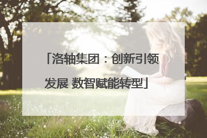 洛轴集团：创新引领发展 数智赋能转型
