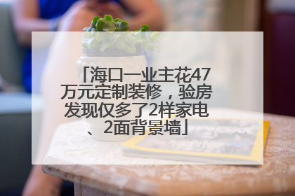 海口一业主花47万元定制装修，验房发现仅多了2样家电、2面背景墙
