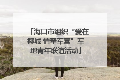 海口市组织“爱在椰城 情牵军营”军地青年联谊活动
