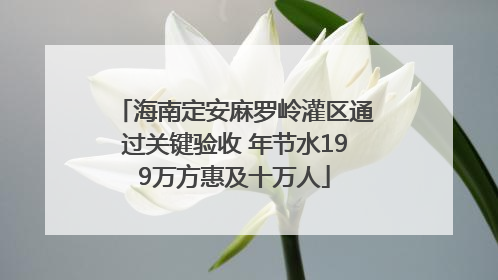 海南定安麻罗岭灌区通过关键验收 年节水199万方惠及十万人