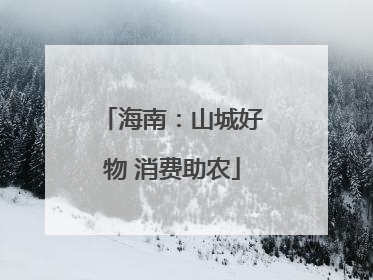 海南：山城好物 消费助农