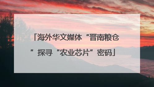 海外华文媒体“晋南粮仓”探寻“农业芯片”密码