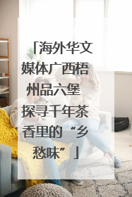 海外华文媒体广西梧州品六堡 探寻千年茶香里的“乡愁味”