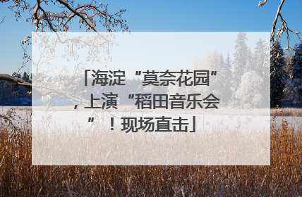 海淀“莫奈花园”，上演“稻田音乐会”！现场直击