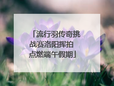 流行羽传奇挑战赛洛阳挥拍 点燃端午假期
