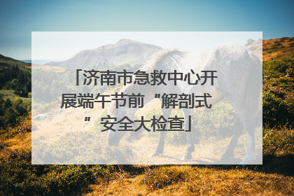 济南市急救中心开展端午节前“解剖式”安全大检查