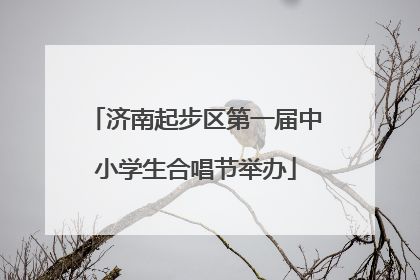 济南起步区第一届中小学生合唱节举办