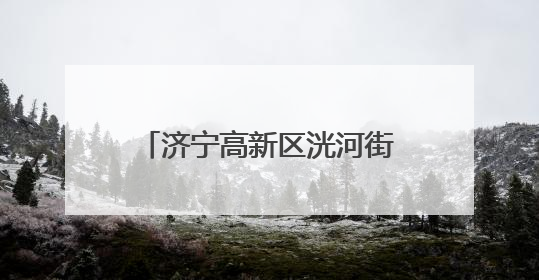 济宁高新区洸河街道黄庄社区开展防汛安全知识宣传活动